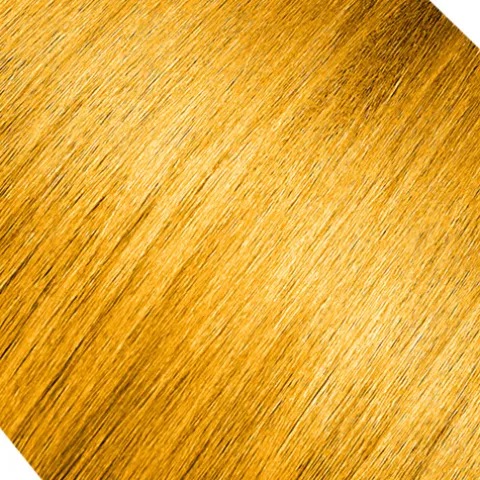 Andreia Bold Color Cream Direct Color Golden Yellow