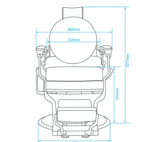 Cadeira De Barbeiro Classic