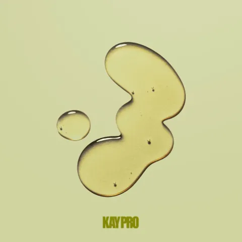 Kaypro Argan Oil Shampoo Hidratante Cabelo Seco