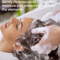 Macadamia Rejuvenating Champô Hidratante Cabelo Seco Danificado