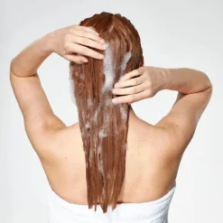 Milk Shake Moisture Plus Shampoo Hidratante Para Cabelos Secos