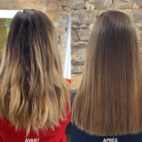 Patrice Mulato Repigmentant Shampoo Matizador - Cool Chestnut