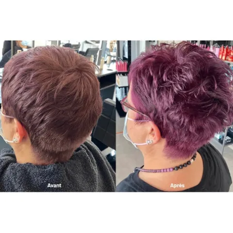 Patrice Mulato Repigmentant Cuidado Capilar Pigmentado - Royal Purple