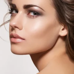 Pollié Pincel Profissional Esponja