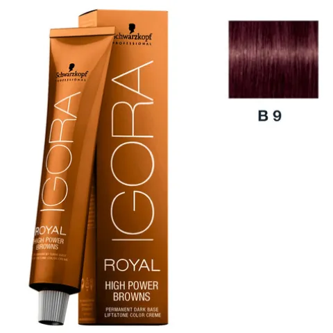 Schwarzkopf Professional Coloração Igora Royal High Power Browns - B-9
