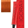 Schwarzkopf Professional Coloração Igora Royal 8-77