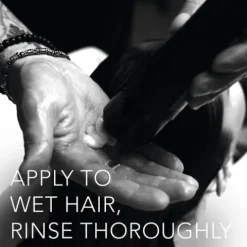 Sebastian Trilliant Condicionador De Brilho