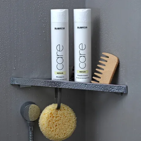 Subrina Professional Care Repair Champô